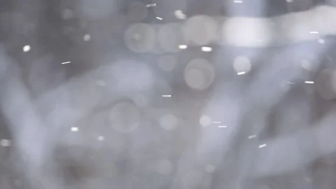 View of a blurred winter background of trees and flying sparkling snow in the Stock Footage 166274744