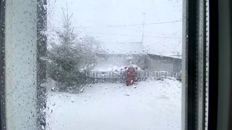View from blurry window on fir-tree, house. Snowing. Winter in Russian village 動画素材 172351329
