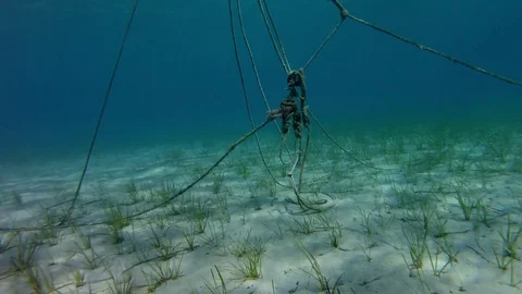 View of the boat and many ropes from the depths 스톡 동영상 80477727