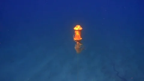 View of the boat and many ropes from the depths of the sea water Video stock 80584827