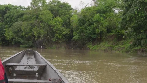 View from Boat on Calm River Surrounded by Lush Greenery Stock Footage 336520974