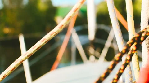 View from the boat house 動画素材 59733545