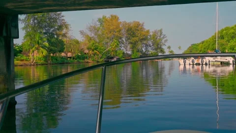 View from boat on mangrove rainforest Stock Footage 292940566