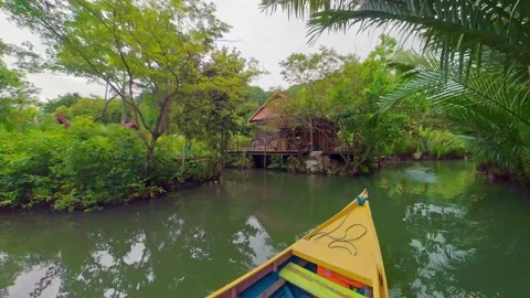 View from Boat Navigating a Tropical River Surrounded by Nipa Palms Vidéo 336179057