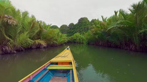 View from Boat Navigating a Tropical River Surrounded by Nipa Palms Vidéo 336179108