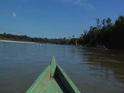 View From Boat On River in Amazon Jungle Rainforest Stock Footage 112946325