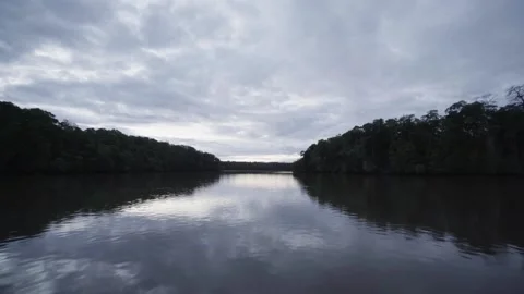 View from boat on river at dawn Stock Footage 160811991