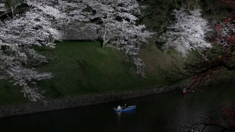 View of a boat in river pond surrounding with Cherry blossoms trees with li.. Stock Footage 323916055