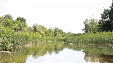 View From A Boat Sailing Down The River Stock-Footage 90258699