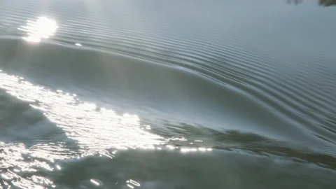 View from boat of Sunlight at sunrise reflected in the lake with water ripple. Stock Footage 169301513