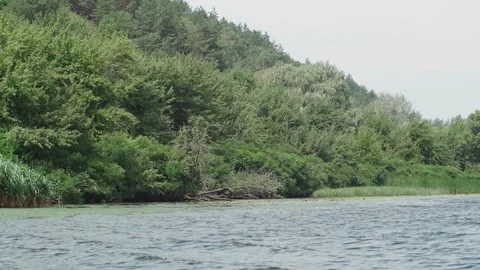 View from the boat while driving on the hilly bank of the river with trees Vídeos de archivo 144682617