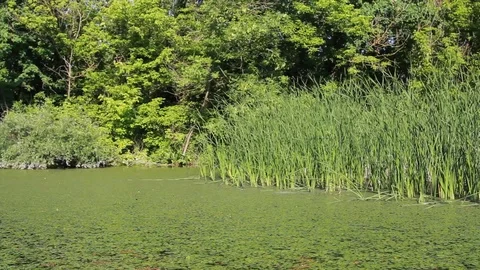 View From A Boat While Sailing Down The River Stock Footage 90258484