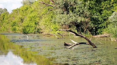 View From A Boat While Sailing Down The River Stock Footage 90261225