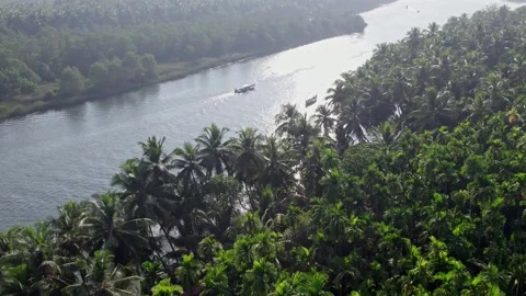 View of boating in Honnavar backwaters surrounded by palm trees and scenic .. Stock Footage 339559664