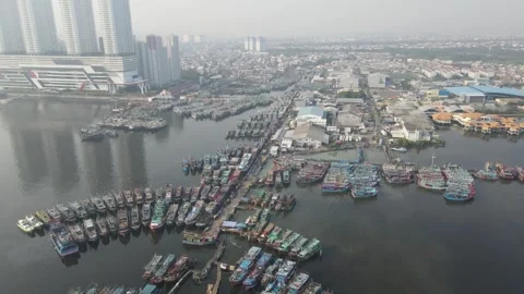 View of boats docked in the pier Stock Footage 260865714