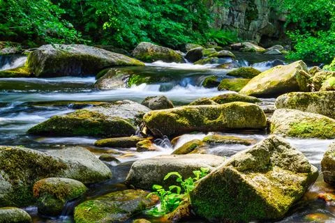 A view of the Bode river bed in the Harz Mountains A view of the Bode rive... Stock Photos