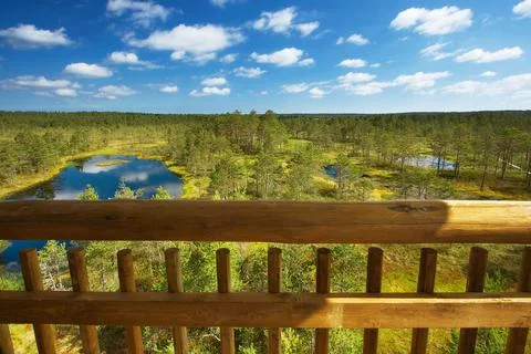 View to bogs from a tower Stock Photos