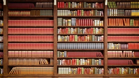 View of bookshelves in an old library Stock Footage 309828896