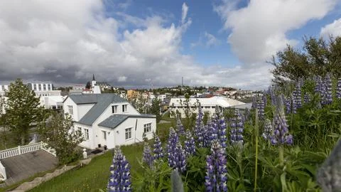 View of Borgarnes in Iceland. Stock-Fotos