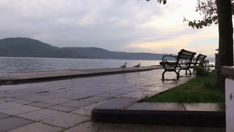 View of the Bosphorus Strait, Turkey, Istanbul Stock Footage 165239586