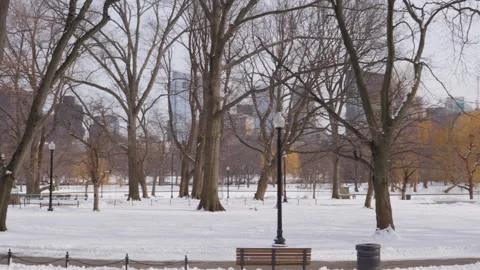 View of the Boston Common covered in snow during winter Vídeos de archivo 302231424