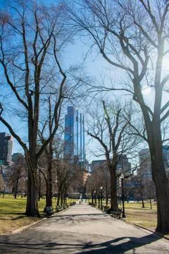 A view of the Boston Common 库存照片