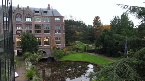View of the Botanical Garden Stock Footage 329558012