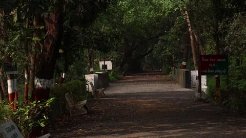 View of botanical garden, Pathway is surrounded with beautiful tress Stock Footage 168345860