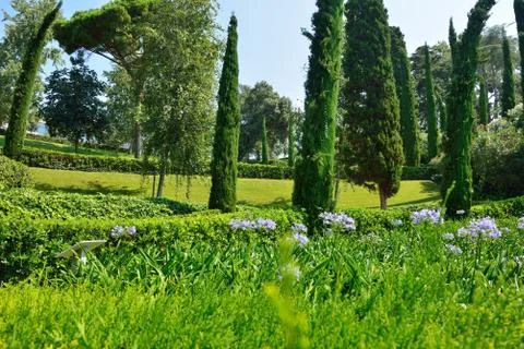 View of a botanical garden Stock Photos