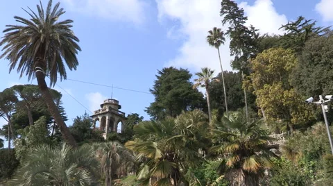 A view of a botanical park Stock Footage 56816801