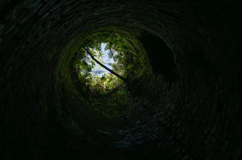 View from the bottom of a dark pit with plants at the top Stock Photos