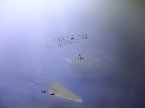 View From the Bottom to up Miniature Layout of the Ship and the Sea Depth. From Stock Footage 71992620