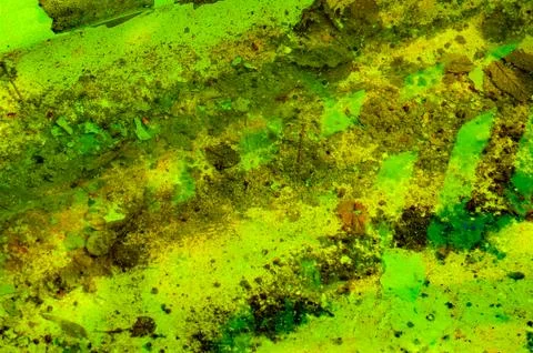 A view of the bottom of an old abandoned pool Stock Photos
