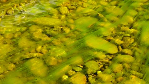 View on the bottom riverbed Stock Footage 73313667