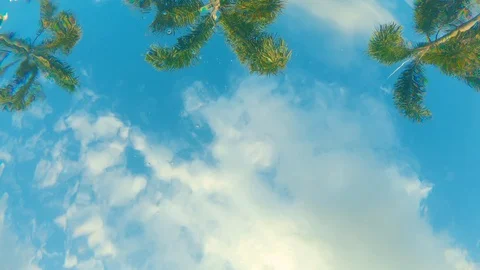 View from a bottom of a swimming pool on palm trees and a small kid swimming Stock Footage 111168931