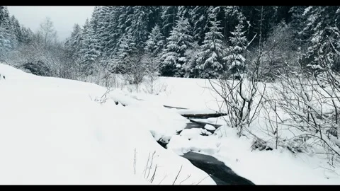 View from bottom of the valley looking up at snowy forest and small stream Stock Footage 328410145