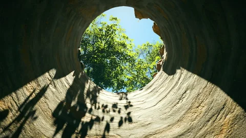 View from the bottom of the well in a forest, clear blue sky and green trees Stock Footage 309071114