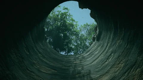View from the bottom of the well in a forest, starry night sky and green trees Stock Footage 309072165