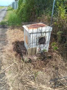 View box panel clean of grass Stock Photos