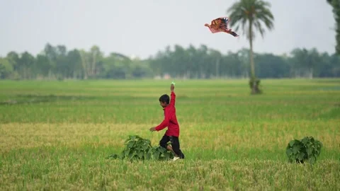 View of a boy flying a bird-shaped kite in Bogura, Bangladesh. Stock Footage 335583819