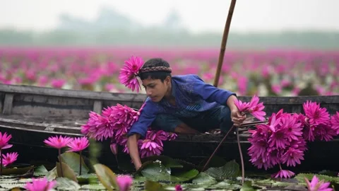 View of a boy picking pink water lilies in Barishal, Bangladesh. Stock-Footage 334999424