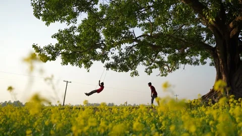 View of a boy on a swing under a large tree in Bogura, Bangladesh. Stock-Footage 335583769