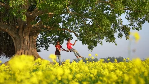 View of a boy swinging from a banyan tree in Bogura, Bangladesh. Video stock 335583780