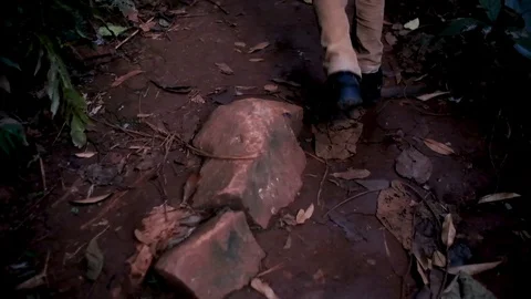 A view of boy wallking at the forest Stock Footage 102814029