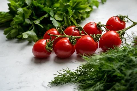 View of a branch of cherry tomatoes through green parsley, dill salad ingredi Stock Photos