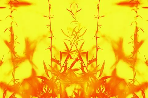 View of the branches of red willow developing in the wind on a yellow backgro Stock Photos