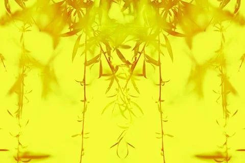 View of the branches of a willow developing in the wind on a yellow backgroun Stock Photos