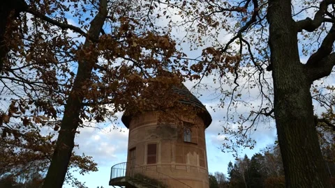 View of branching oak trees and Pil-tower of Pavlovsk landscape Park Stock-Footage 321187860