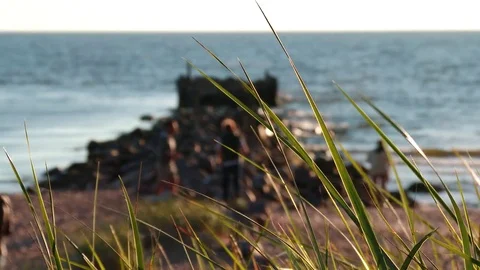 View of the breakwater through the grass, Latvia, Baltic sea, Tuja Vídeo Stock 78985367