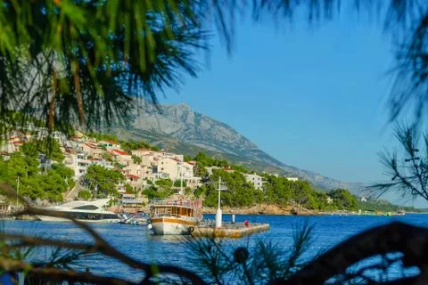View of Brela, Croatia through the pine trees, summer Stock Photos